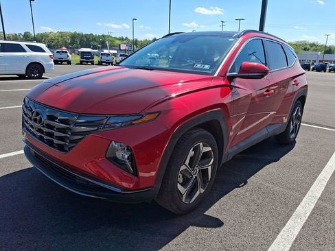 Used 2023 Hyundai Tucson Limited AWD/4WD image 3