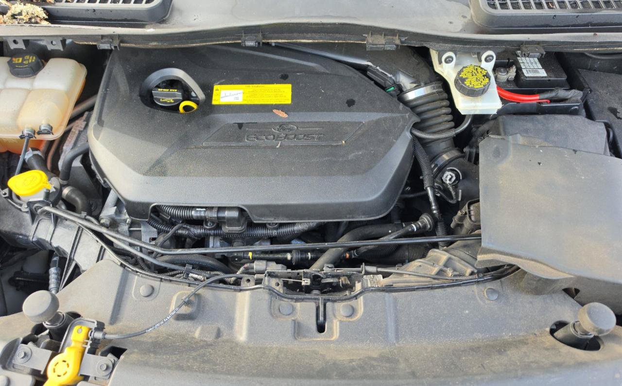 Used 2015 Ford Escape SE w/ SE Chrome Package AWD/4WD image 16