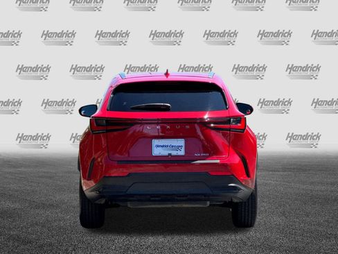 Certified 2024 Lexus NX 250 FWD image 6