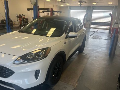 Used 2020 Ford Escape SE AWD/4WD image 2