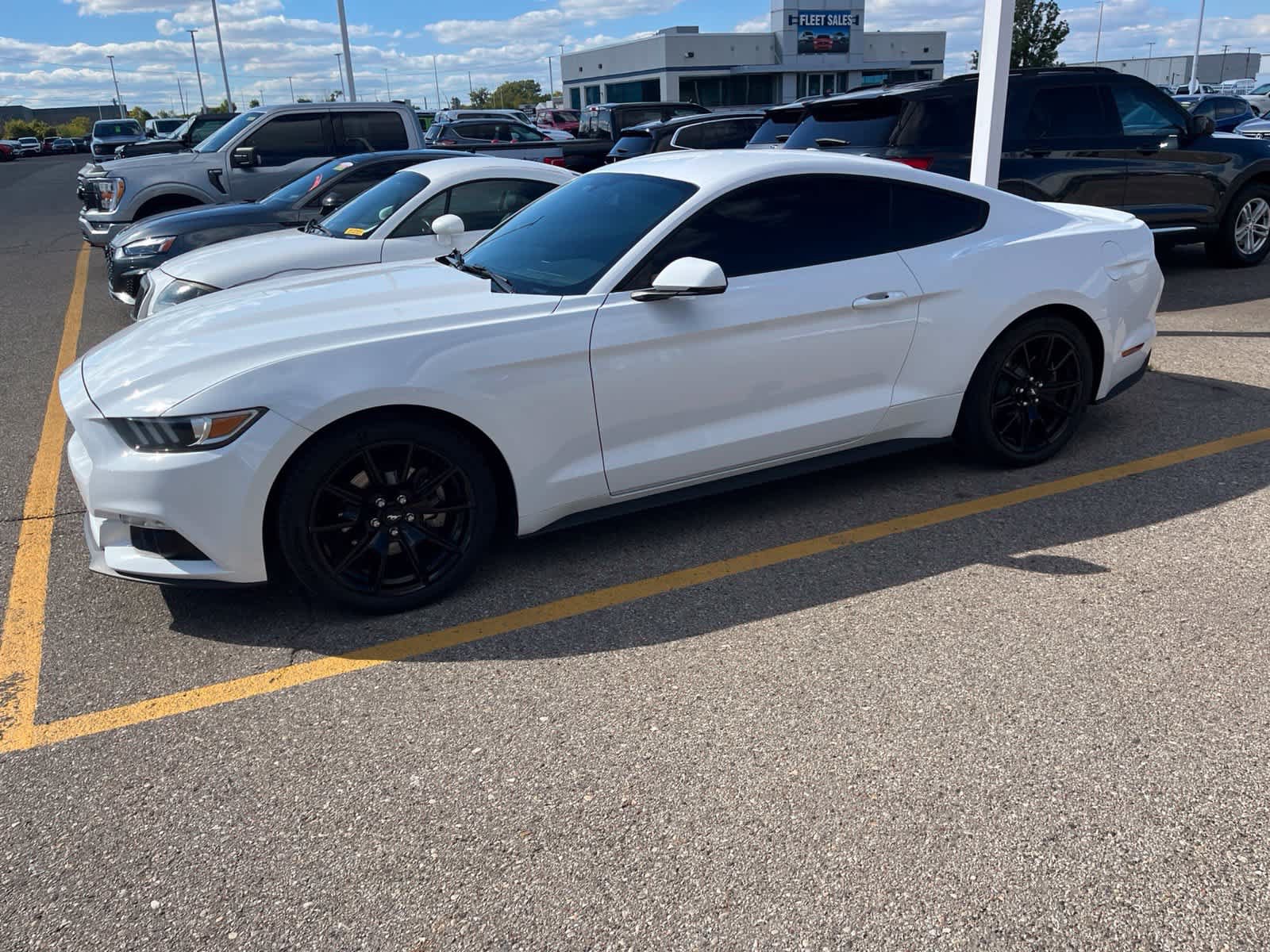 Used 2015 Ford Mustang Premium RWD image 6