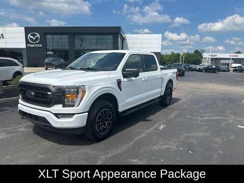 Used 2023 Ford F150 XLT w/ Equipment Group 302A High AWD/4WD image 3