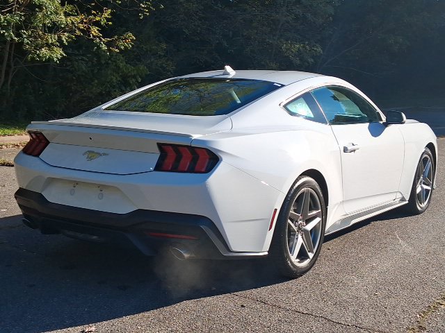 Used 2024 Ford Mustang Premium RWD image 5