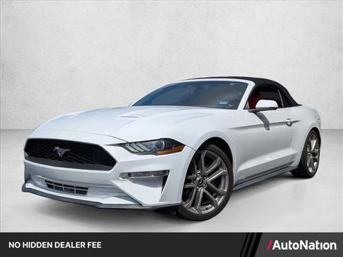 Used 2018 Ford Mustang Premium w/ Equipment Group 201A RWD image 1