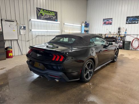Used 2024 Ford Mustang Premium image 5