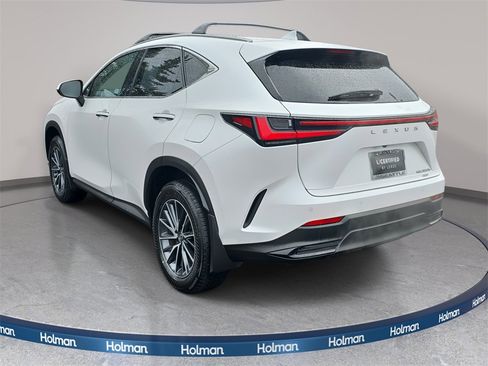 Used 2025 Lexus NX 350h AWD w/ Premium Package image 7