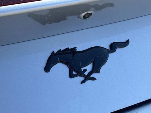 New 2026 Ford Mustang Premium w/ Mustang Nite Pony Package image 12