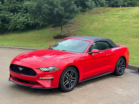 Used 2020 Ford Mustang Premium RWD image 1