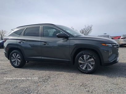 Used 2024 Hyundai Tucson Blue