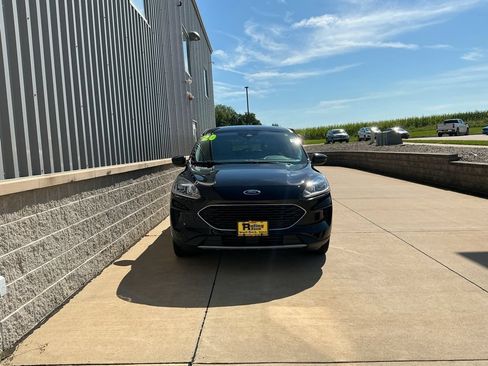 Used 2020 Ford Escape SE AWD/4WD image 5