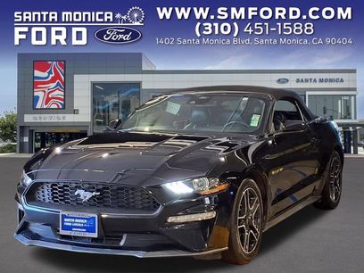 Used 2023 Ford Mustang Premium w/ Equipment Group 201A