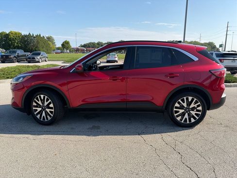 Used 2020 Ford Escape SEL AWD/4WD image 4