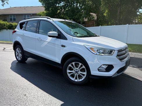 Used 2019 Ford Escape SEL AWD/4WD image 2