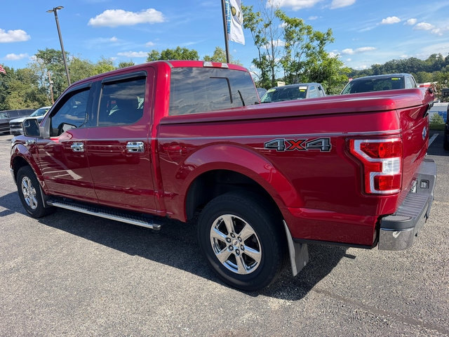 Used 2019 Ford F150 XLT w/ Equipment Group 302A Luxury AWD/4WD image 4