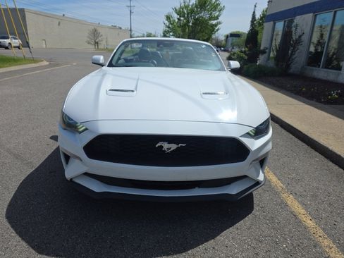 Used 2022 Ford Mustang Premium image 9