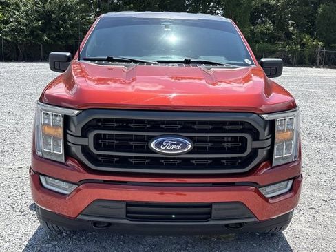 Used 2023 Ford F150 XLT w/ Equipment Group 302A High AWD/4WD image 9