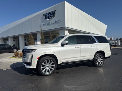 Used 2022 Cadillac Escalade Premium Luxury Platinum image 1