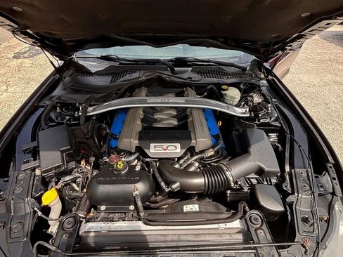 Used 2016 Ford Mustang GT Premium w/ Equipment Group 401A RWD image 17