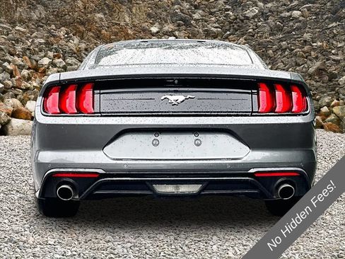 Used 2019 Ford Mustang Coupe w/ Equipment Group 101A RWD image 4