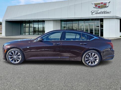 Used 2021 Cadillac CT5 Premium Luxury w/ Climate Package image 2