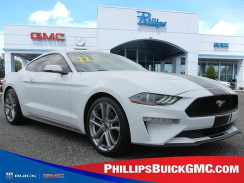 Used 2022 Ford Mustang Premium w/ Equipment Group 201A image 1