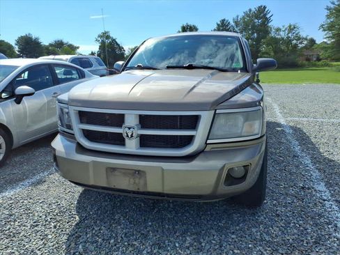 Used 2009 Dodge Dakota Big Horn RWD image 4