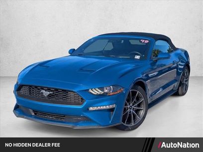 Used 2019 Ford Mustang Premium w/ Equipment Group 201A