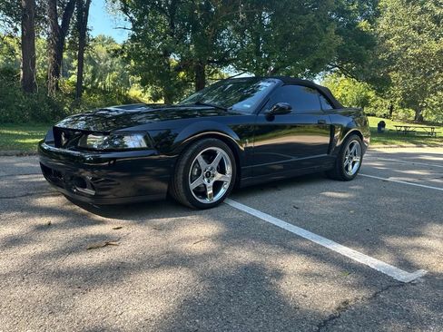 Used 2003 Ford Mustang Cobra RWD image 4