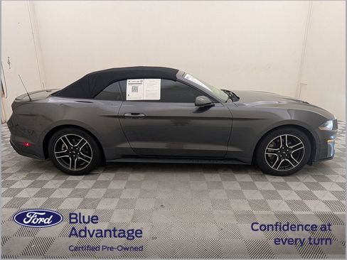 Used 2018 Ford Mustang Premium w/ Equipment Group 201A RWD image 2