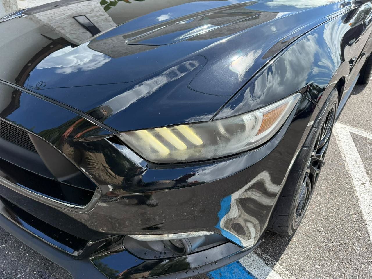Used 2016 Ford Mustang GT Premium w/ Enhanced Security Package RWD image 10