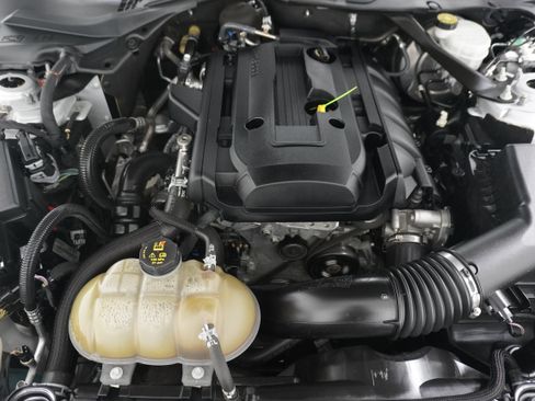 Used 2019 Ford Mustang Premium RWD image 34