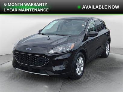 Used 2022 Ford Escape SE