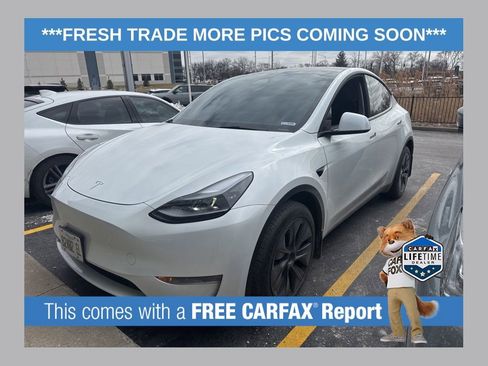 Used 2025 Tesla Model Y Long Range image 1