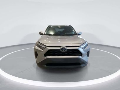 Certified 2025 Toyota RAV4 XLE