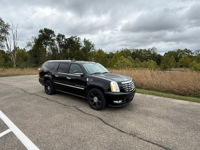 Used 2008 Cadillac Escalade ESV AWD