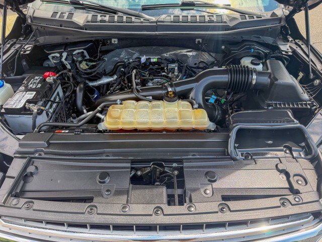 Used 2019 Ford F150 XLT w/ Equipment Group 302A Luxury AWD/4WD image 23