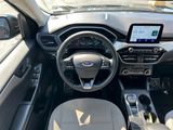 Used 2022 Ford Escape SE w/ SE Sport Appearance Package image 2