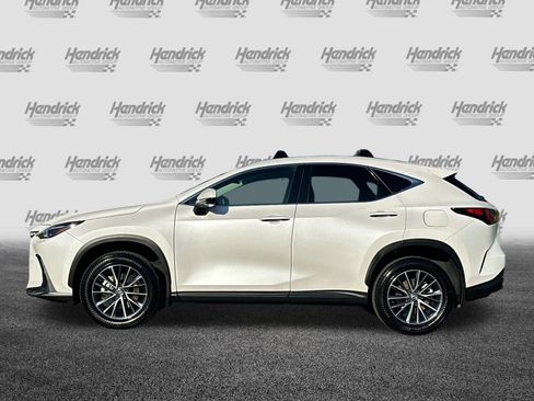 Used 2025 Lexus NX 350 AWD w/ Premium Package image 8