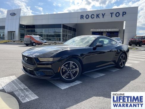 New 2025 Ford Mustang Premium image 1