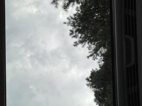 Used 2019 Audi A4 2.0T Premium Plus w/ Premium Plus Package image 23