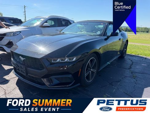Used 2024 Ford Mustang Premium RWD image 1