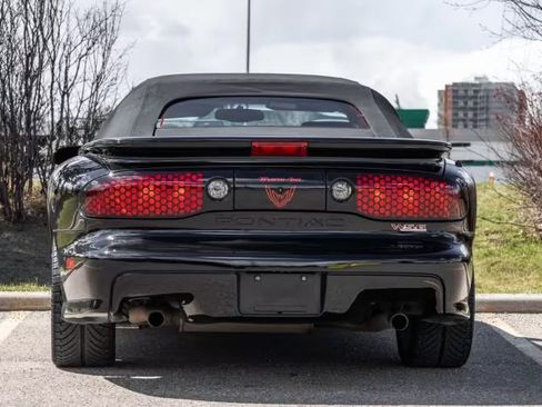 Used 1999 Pontiac Firebird Trans Am RWD image 5