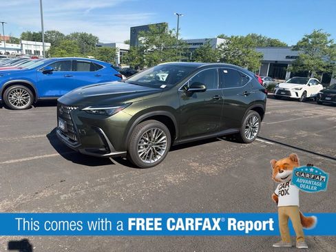 Used 2025 Lexus NX 350h AWD w/ Premium Package image 2