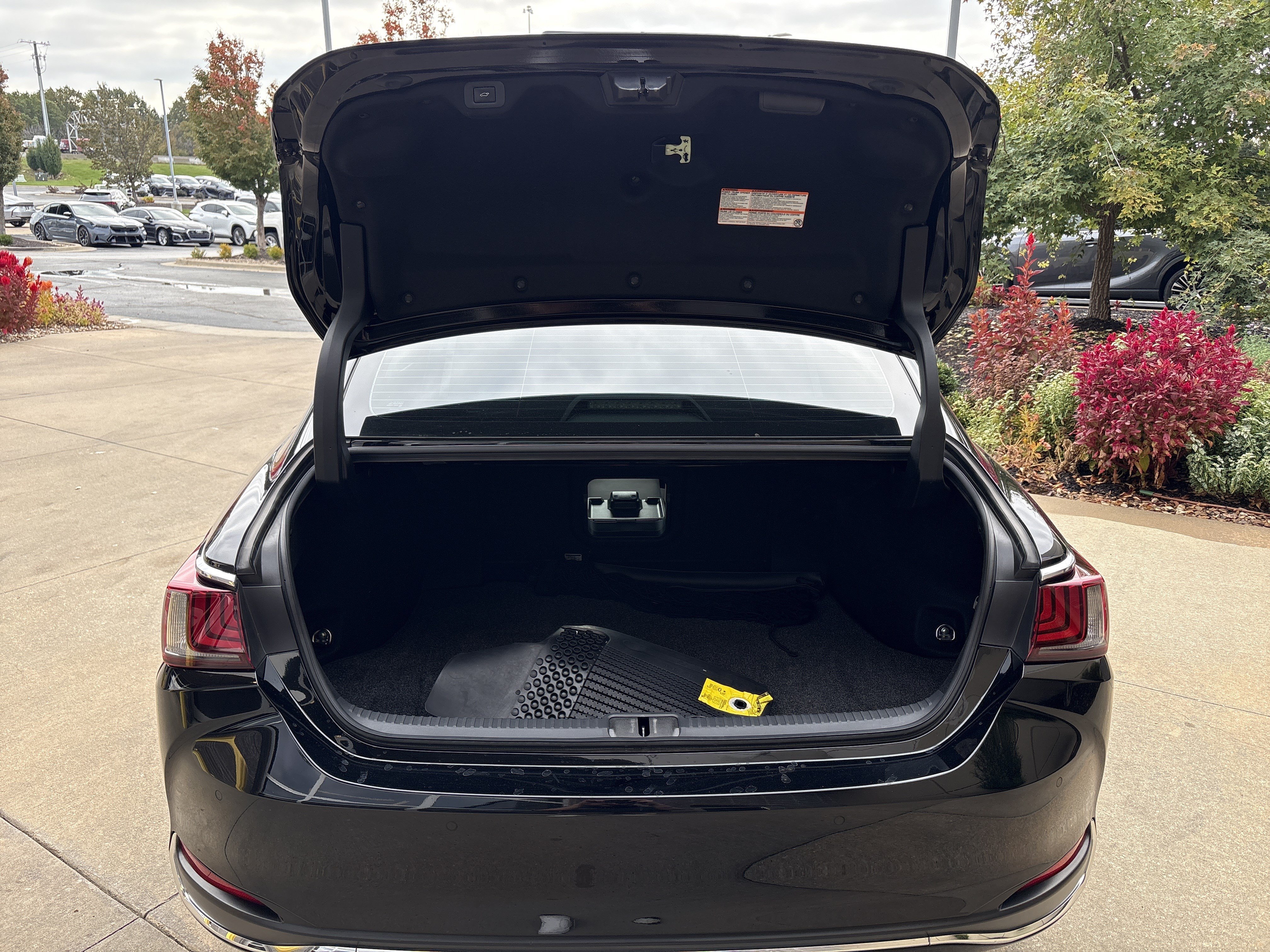 Used 2023 Lexus ES 300h w/ Protection Package (P2) FWD image 32