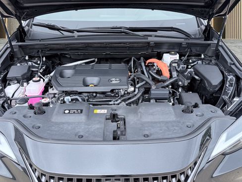 Used 2025 Lexus NX 350h AWD w/ Cold Area Package image 15