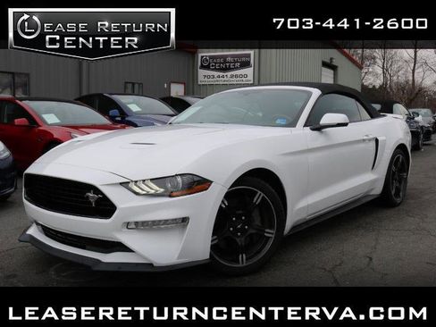 Used 2020 Ford Mustang GT Premium w/ Equipment Group 401A image 1
