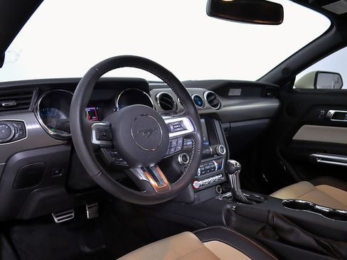 Used 2015 Ford Mustang 50 Years RWD image 13