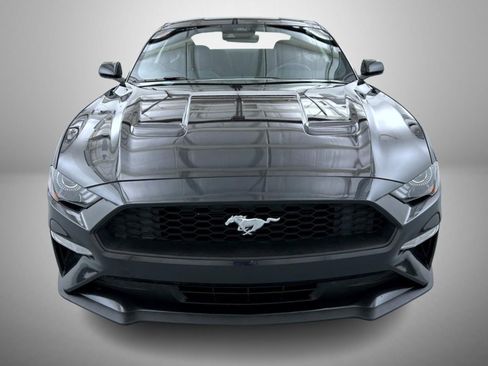 Used 2023 Ford Mustang Coupe w/ Equipment Group 101A RWD image 2