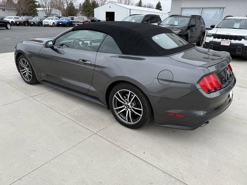 Used 2017 Ford Mustang Premium image 8