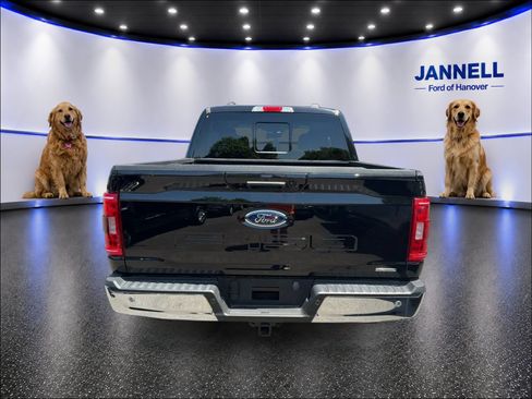 Used 2023 Ford F150 XLT w/ Equipment Group 302A High AWD/4WD image 7